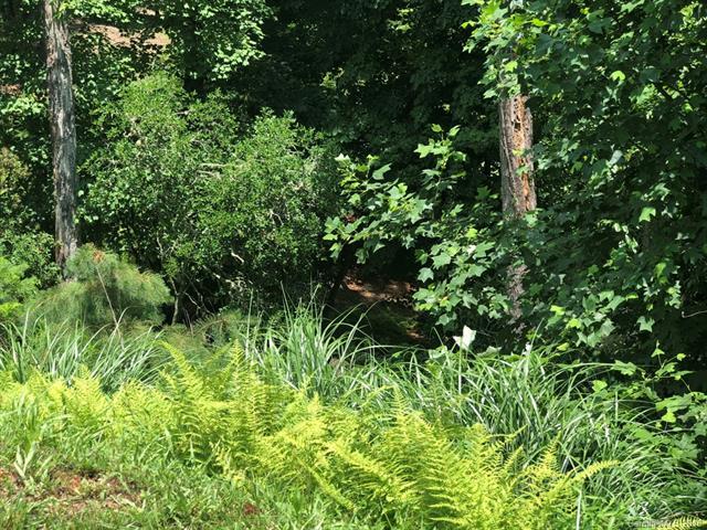 Lot 66 Shining Rock Path - Photo 1
