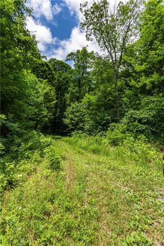 9999 Lower Flat Creek Road - Photo 1