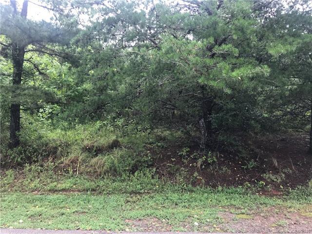 0 Wild Turkey Lane - Photo 1