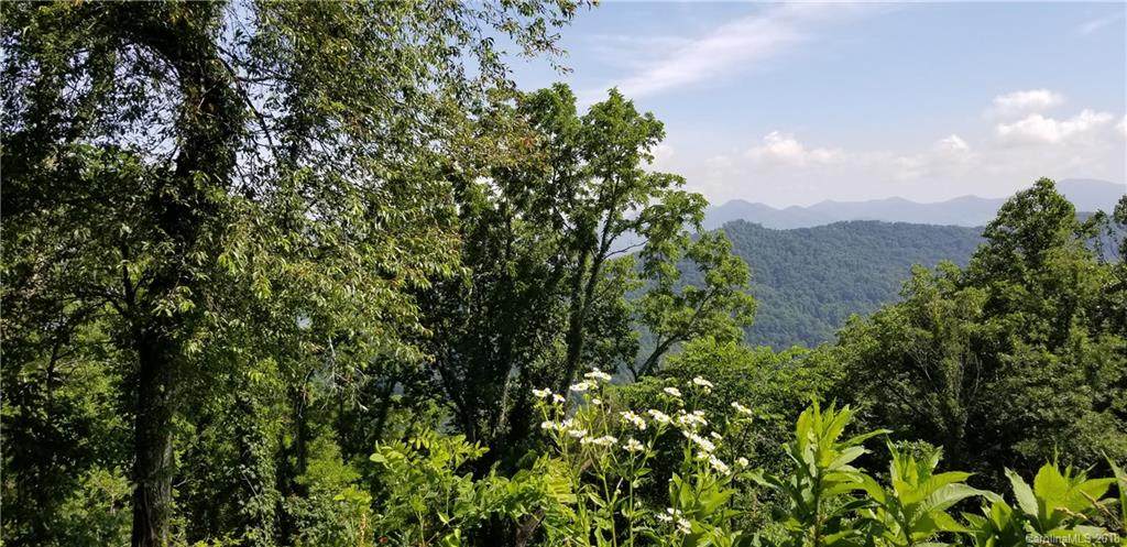 Lot 55 Peak Avenue - Photo 1