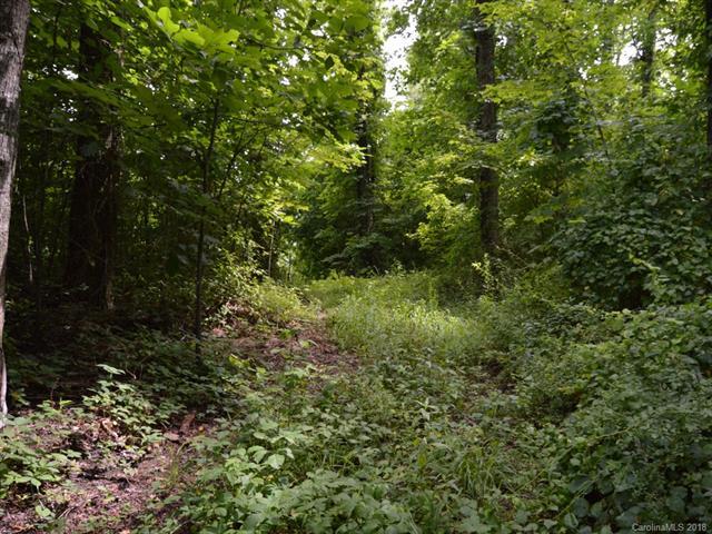 325 Bay Laurel Lane - Photo 1