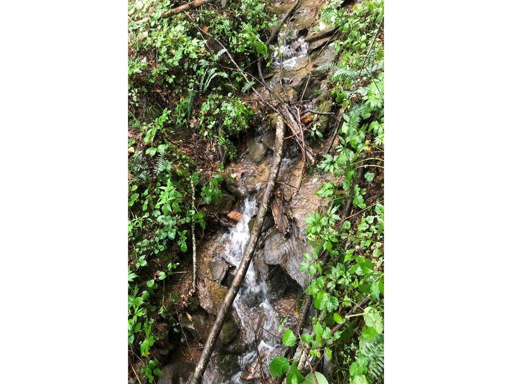 0 Yonah Trail - Photo 1