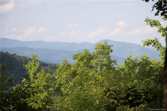 MR-37R Panthertown Road - Photo 1