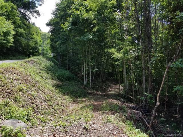 117 Mountain Lily Ridge Road - Photo 1