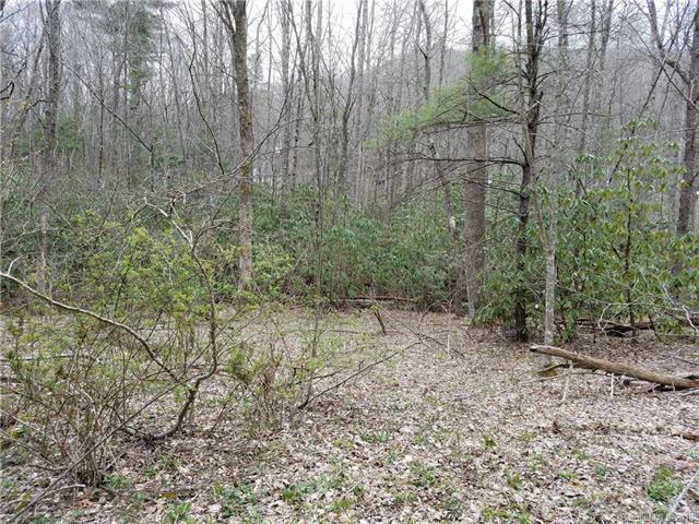 TBD Long Branch Road - Photo 1