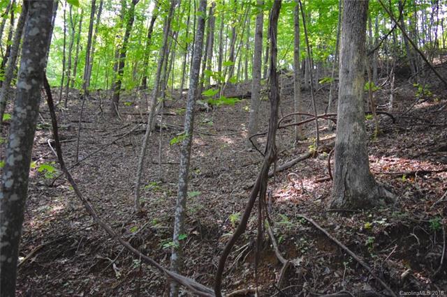 Tract 77 Long Ridge Trail - Photo 1