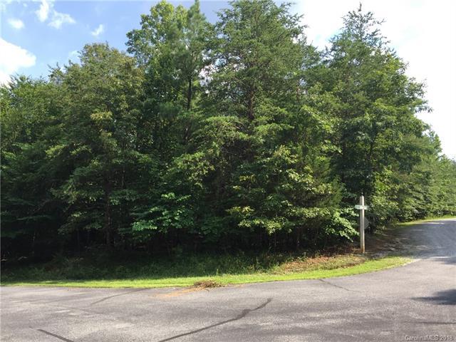 Lot# 50 Elliott Lane - Photo 1