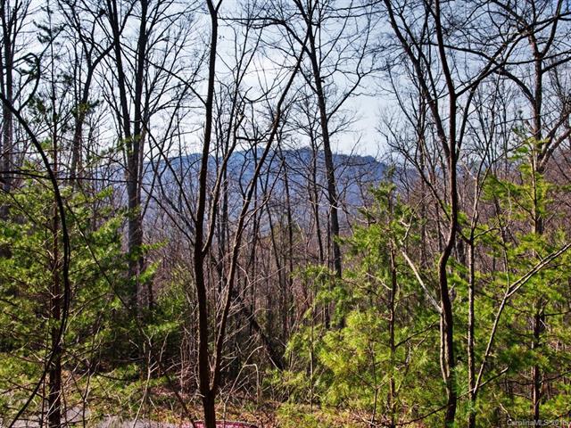 000 Laurel Ridge - Photo 1