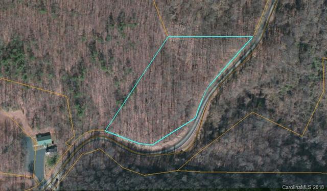 00 Howard Gap Road - Photo 1