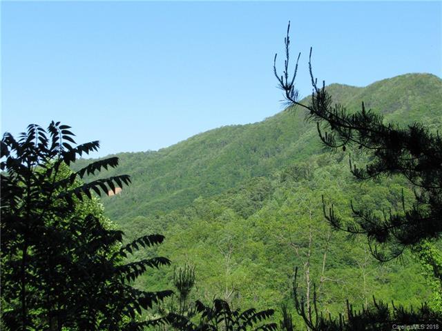 TBD (5.95 +/- acres) Newfound Road - Photo 1