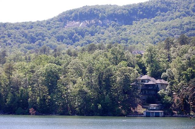 Lot 25 Buffalo Shoals Road - Photo 1