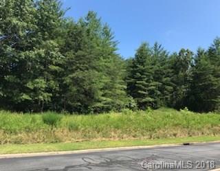 Lot 12 Big Tree Way Road - Photo 1
