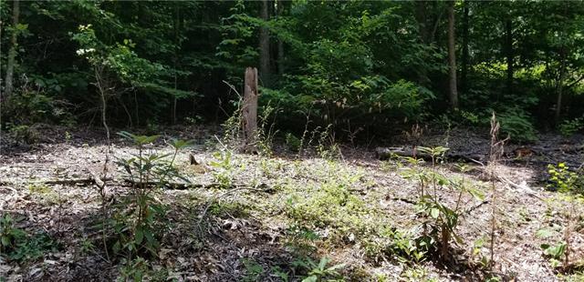 00 Dry Branch Trail - Photo 1