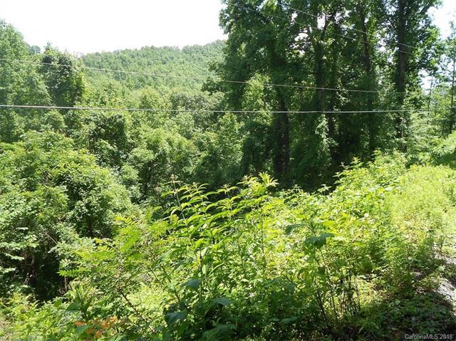 Lot 30 Coon Creek Road - Photo 1