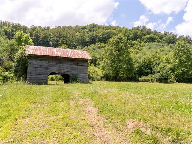 0000 Hortons Creek Road - Photo 1