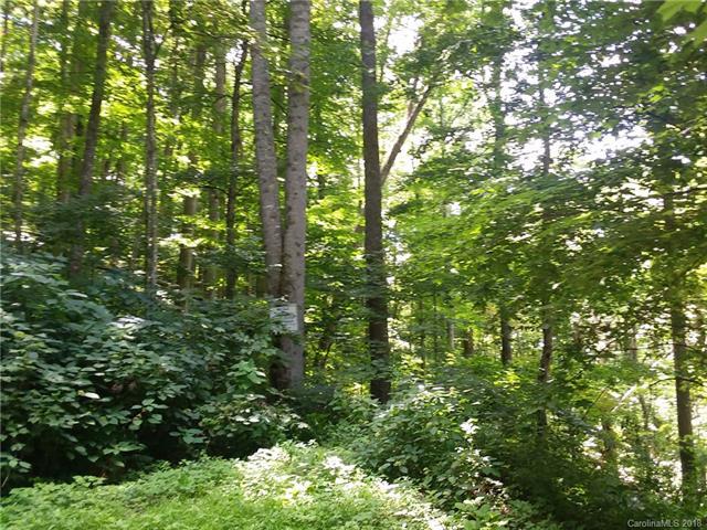 0000 Old Country Road - Photo 1
