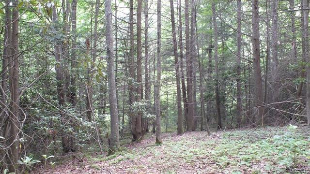 Lot 3 Pine Moss Trail - Photo 1