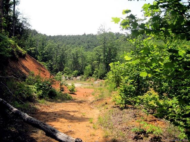 xxx Forest Park Court - Photo 1