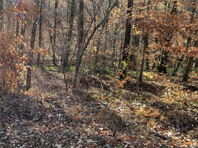 573 Hickory Wood Drive - Photo 1