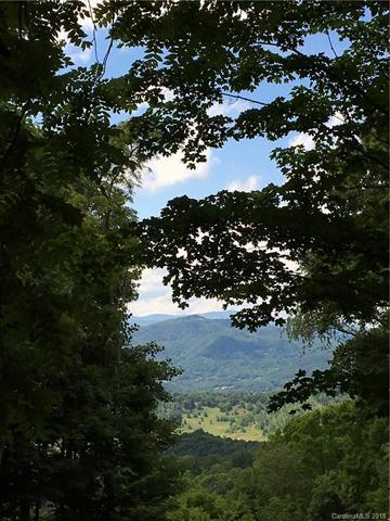 TBD Mcguires Ridge - Photo 1