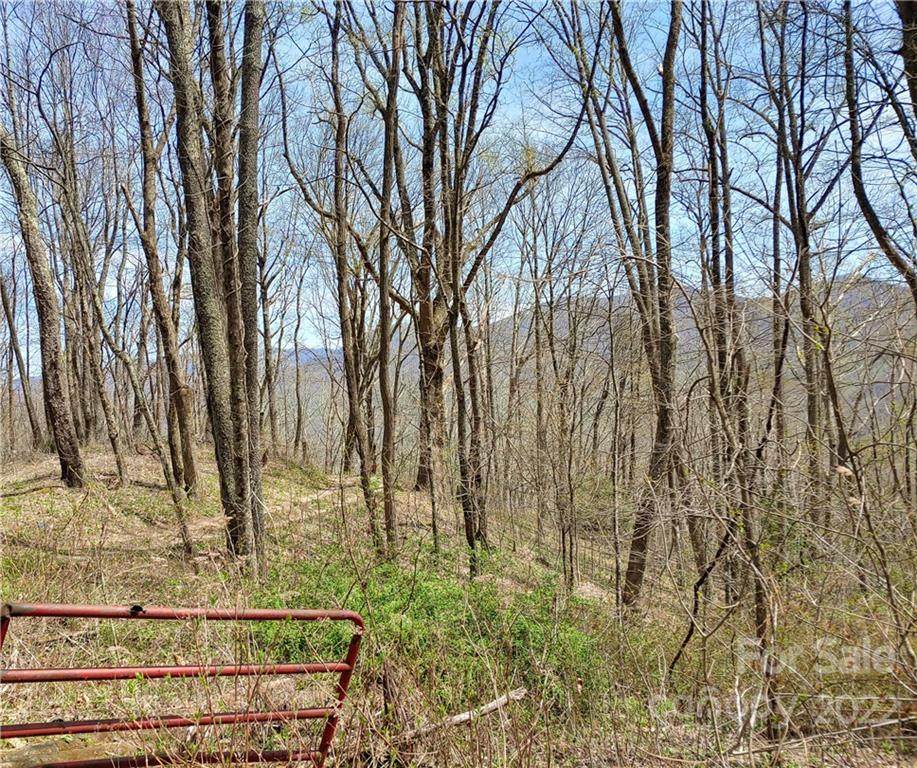 TBD (3.84) Elk Mountain Scenic Highway - Photo 1