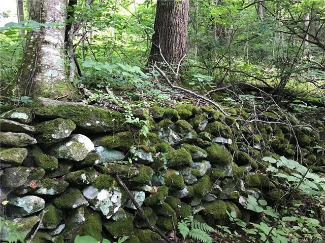 lot R-11 Appaloosa Trail - Photo 1