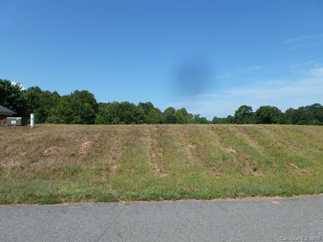 Lot 10 Gourdvine Drive - Photo 1