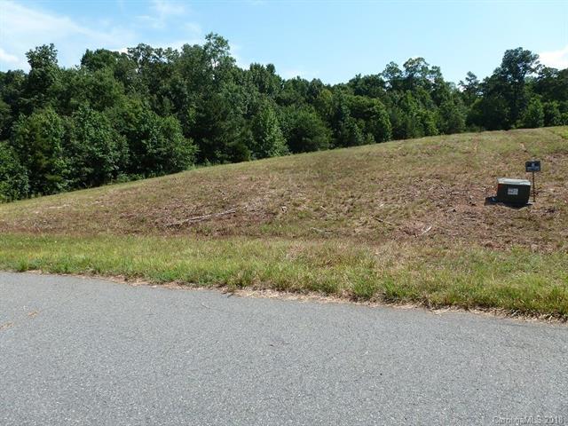 Lot 17 Gourdvine Drive - Photo 1