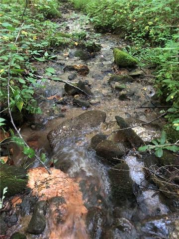 Lot 48 Fern Trail - Photo 1