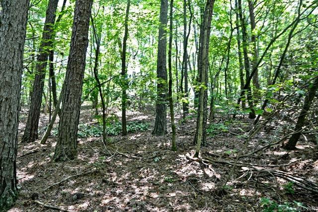 V/L Little Acres Road - Photo 1