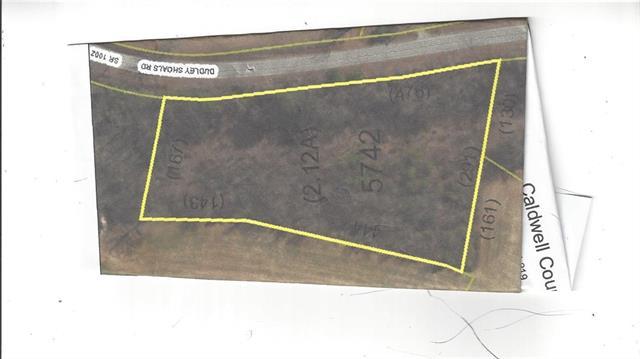 00 Dudley Shoals Highway - Photo 1