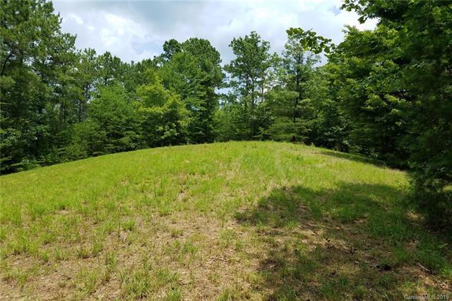 0 Lake Adger Parkway - Photo 1