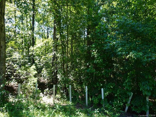 Lot 62 Bramblewood Drive - Photo 1