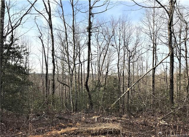970 Pearson Road - Photo 1