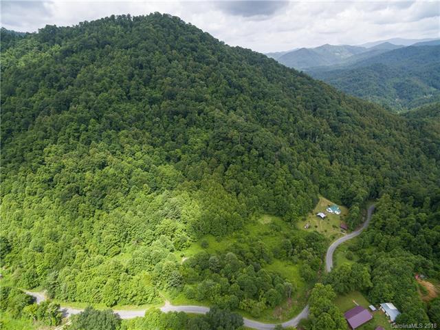 696 Jarrett Cove Road - Photo 1