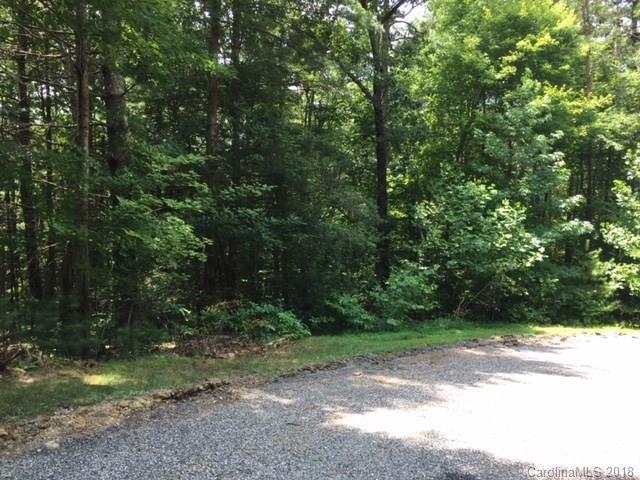 00 White Water Way - Photo 1