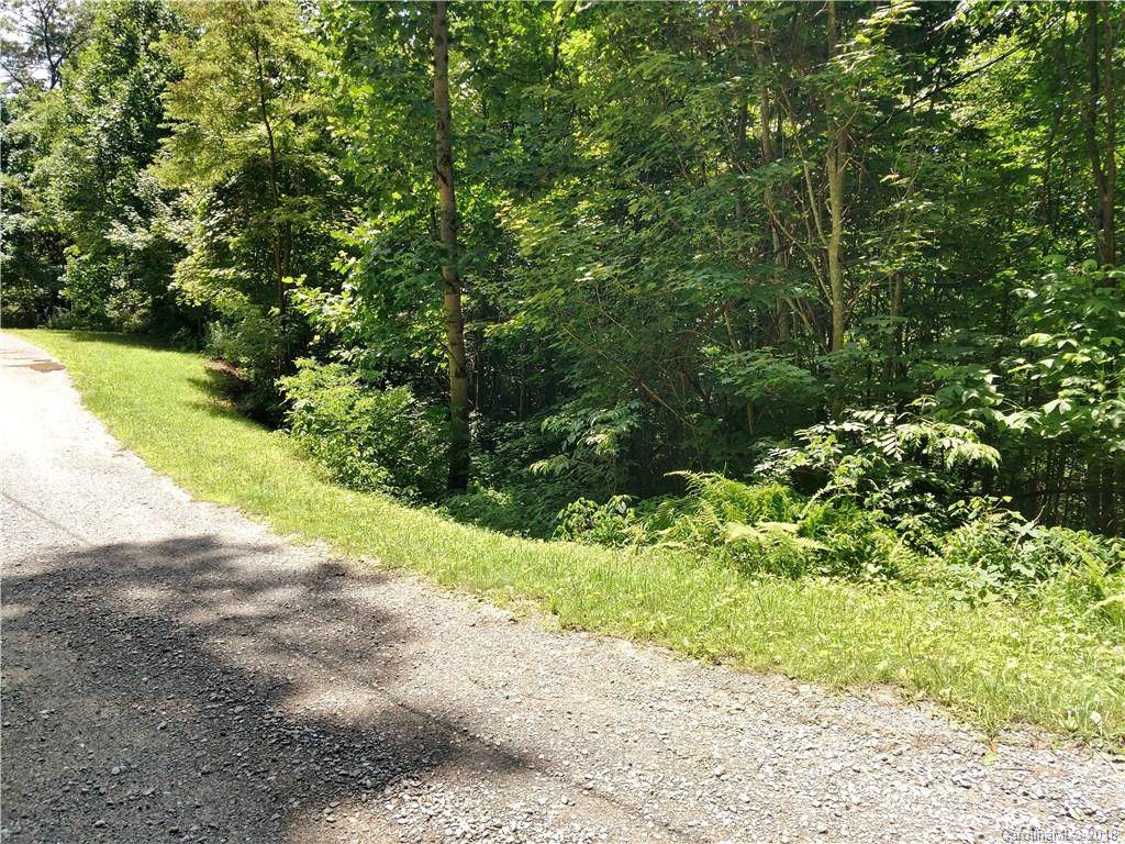 Lots 8 and 9 off Liner Creek Road - Photo 1