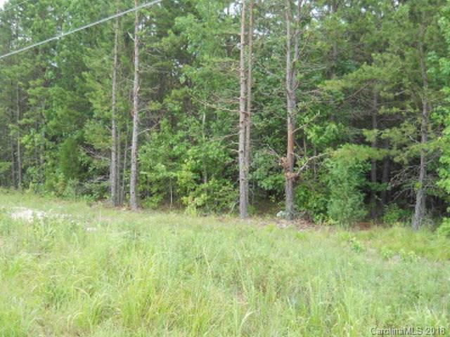 1041 Longbranch Road - Photo 1