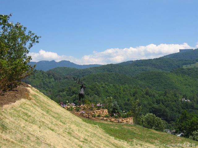Lot 21 Silver Springs Drive - Photo 1