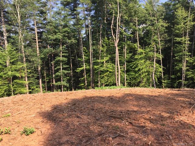 LOT 6 Forest Ridge Drive - Photo 1