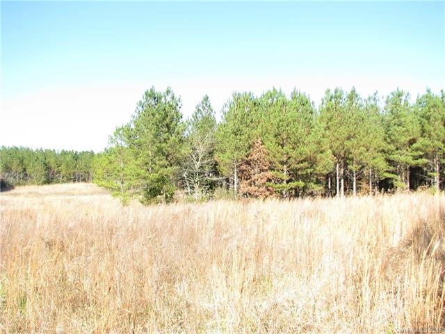 117 Ac Hwy 521 Highway - Photo 1