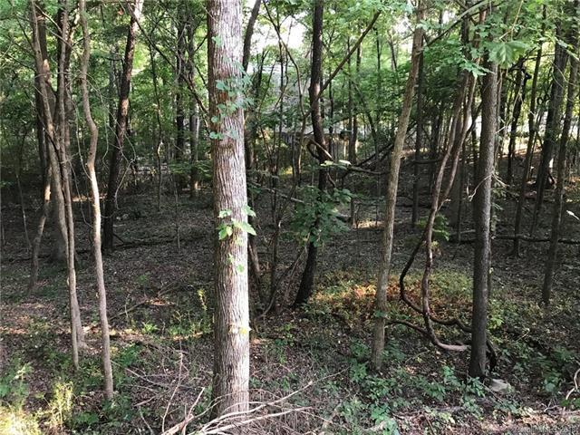 10221 Hanging Moss Trail - Photo 1