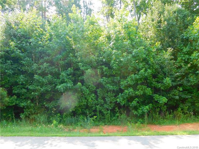 Lot 36 Innes Lane - Photo 1