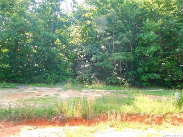 Lot 39 Innes Lane - Photo 1