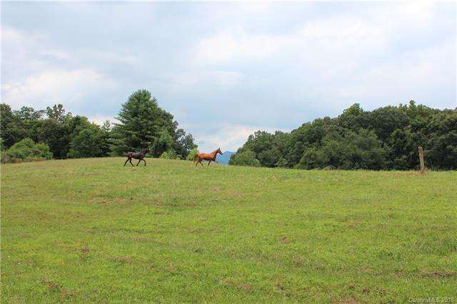 45 Josiah Lane - Photo 1