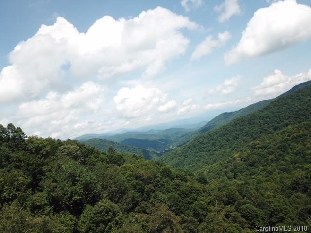 Lot 47 Black Bear Run - Photo 1