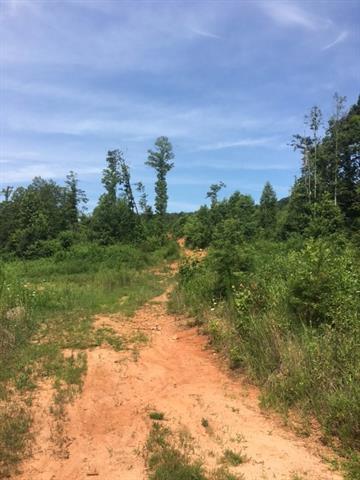0 Brush Mountain Road - Photo 1