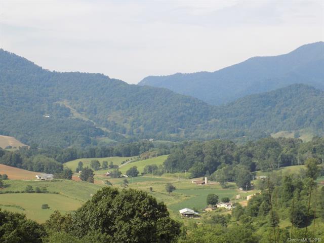 26 Bear Vista Trail - Photo 1