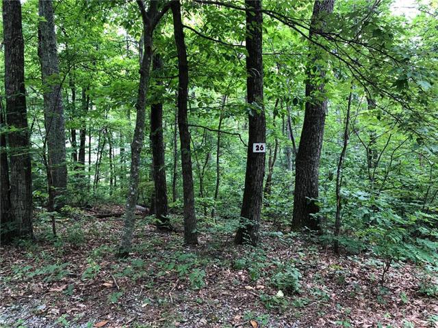 00 Butler Ridge Trail - Photo 1
