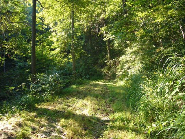 TBD Thomas Branch Road - Photo 1